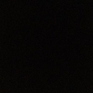 Meet your Posher, Elsa